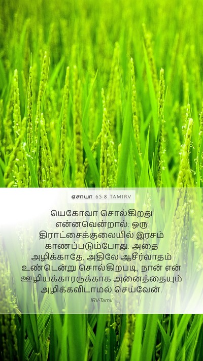 ஏசாயா 65:8 TAMIRV Bible Verse Image
