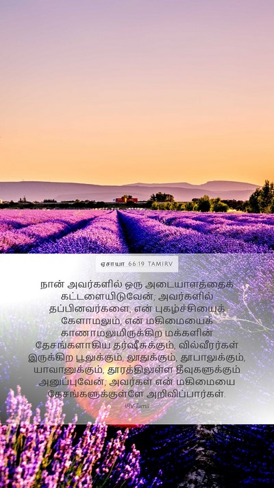 ஏசாயா 66:19 TAMIRV Bible Verse Image