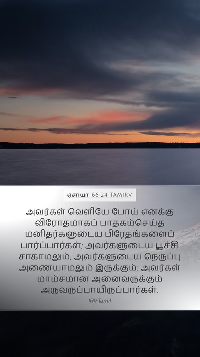 ஏசாயா 66:24 TAMIRV Bible Verse Image