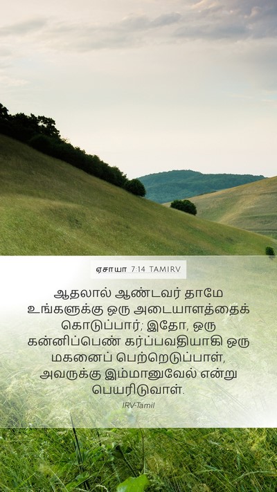 ஏசாயா 7:14 TAMIRV Bible Verse Image