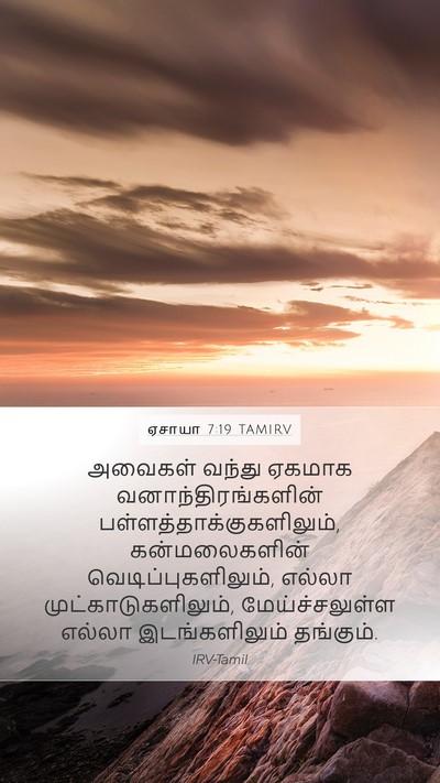 ஏசாயா 7:19 TAMIRV Mobile Phone Wallpaper - அவைகள் வந்து - Mobile Bible Verse Wallpaper