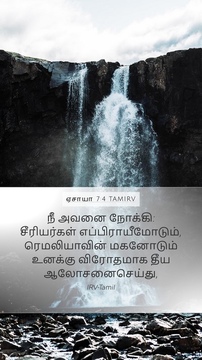 ஏசாயா 7:4 TAMIRV Bible Verse Image