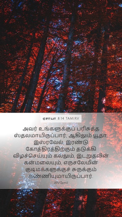 ஏசாயா 8:14 TAMIRV Bible Verse Image