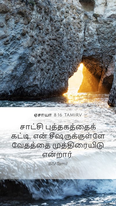 ஏசாயா 8:16 TAMIRV Mobile Phone Wallpaper - சாட்சி - Mobile Bible Verse Wallpaper