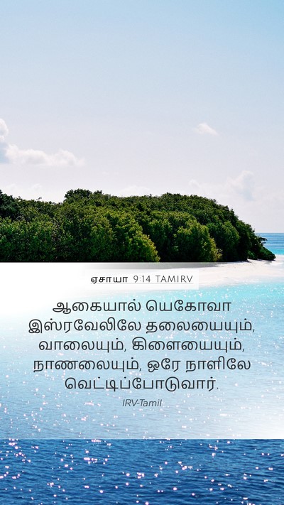 ஏசாயா 9:14 TAMIRV Bible Verse Image
