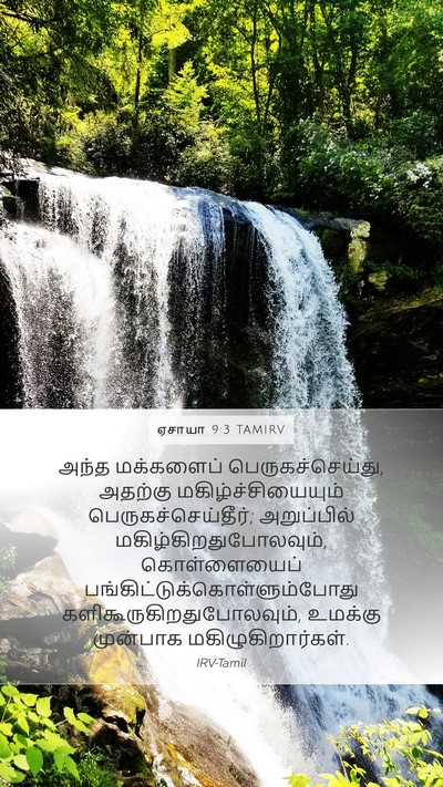 ஏசாயா 9:3 TAMIRV Bible Verse Image