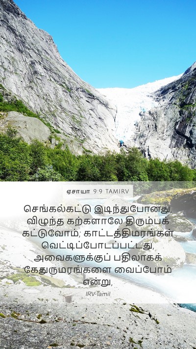ஏசாயா 9:9 TAMIRV Bible Verse Image
