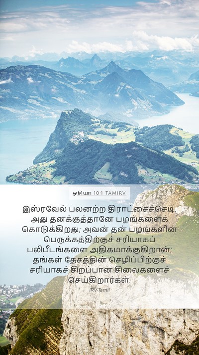 ஓசியா 10:1 TAMIRV Bible Verse Image