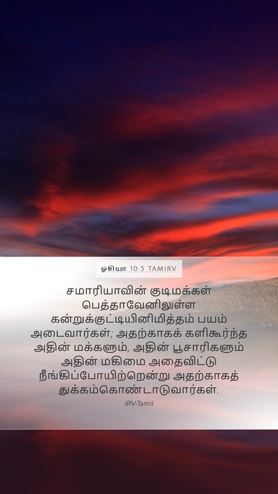 ஓசியா 10:5 TAMIRV Bible Verse Image