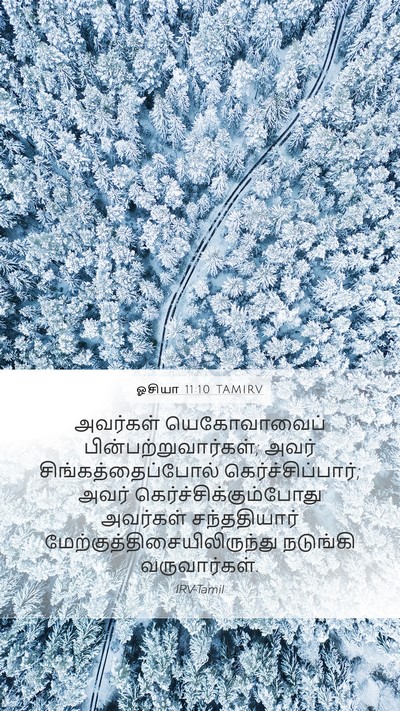 ஓசியா 11:10 TAMIRV Bible Verse Image