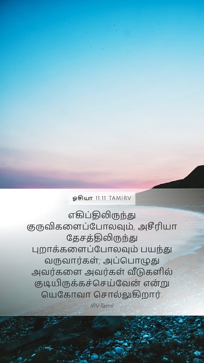 ஓசியா 11:11 TAMIRV Bible Verse Image