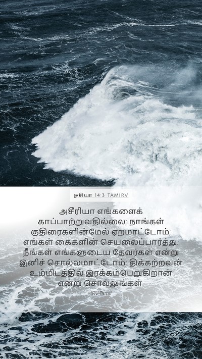 ஓசியா 14:3 TAMIRV Bible Verse Image