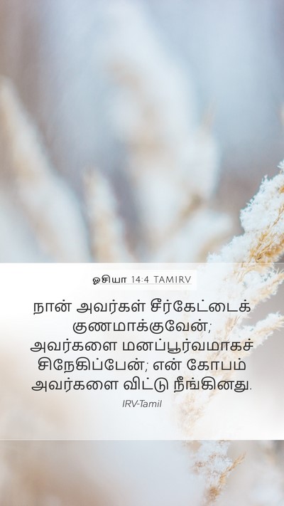 ஓசியா 14:4 TAMIRV Bible Verse Image