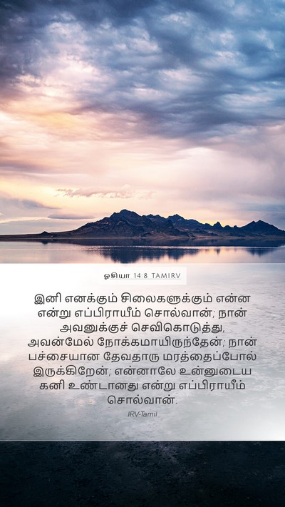 ஓசியா 14:8 TAMIRV Bible Verse Image