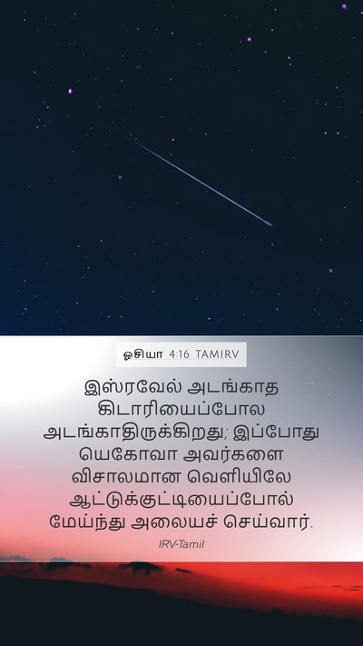 ஓசியா 4:16 TAMIRV Bible Verse Image
