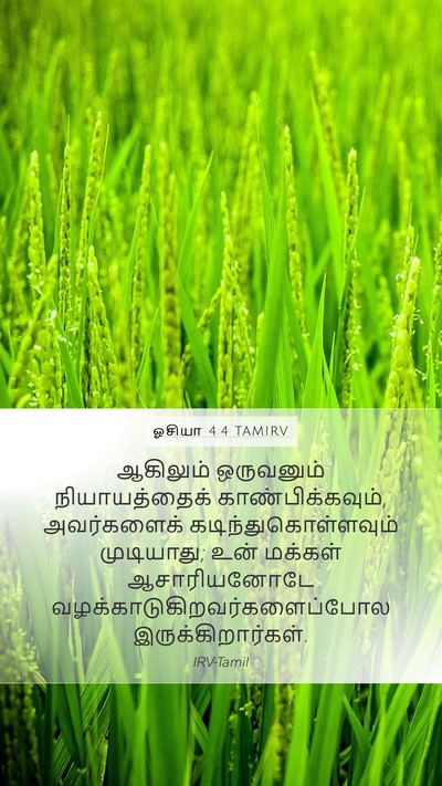 ஓசியா 4:4 TAMIRV Mobile Phone Wallpaper - ஆகிலும் ஒருவனும் - Mobile Bible Verse Wallpaper