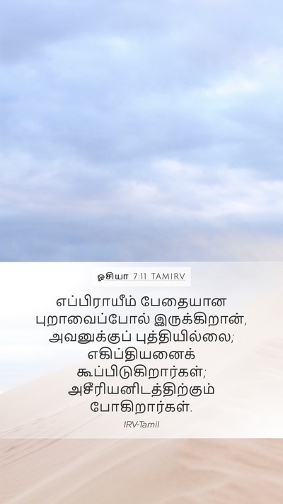 ஓசியா 7:11 TAMIRV Bible Verse Image