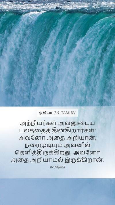 ஓசியா 7:9 TAMIRV Bible Verse Image