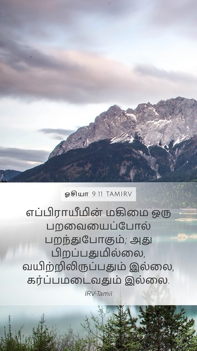 ஓசியா 9:11 TAMIRV Bible Verse Image