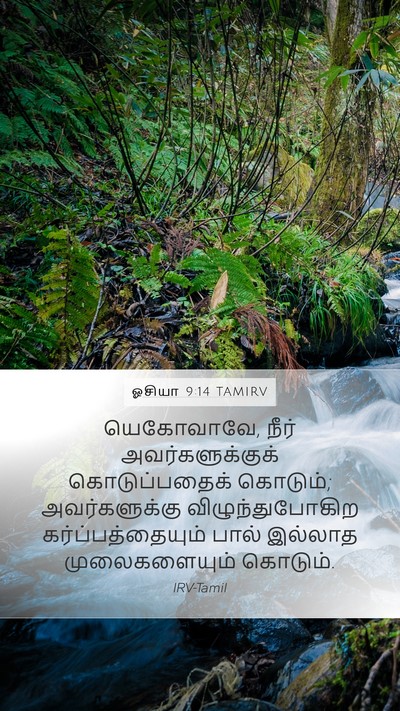 ஓசியா 9:14 TAMIRV Bible Verse Image