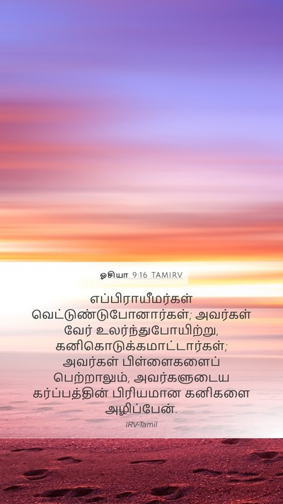 ஓசியா 9:16 TAMIRV Bible Verse Image
