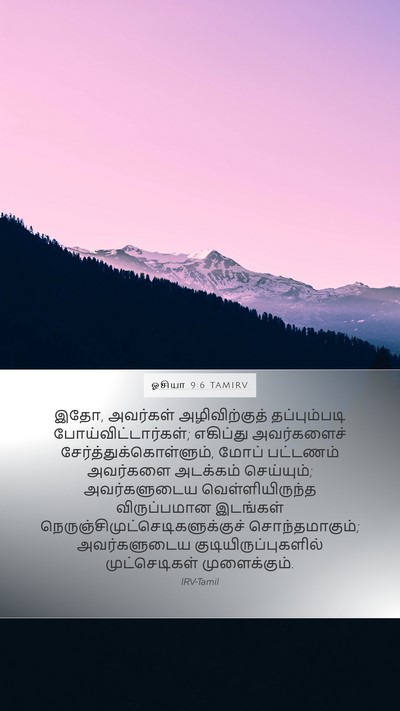 ஓசியா 9:6 TAMIRV Bible Verse Image