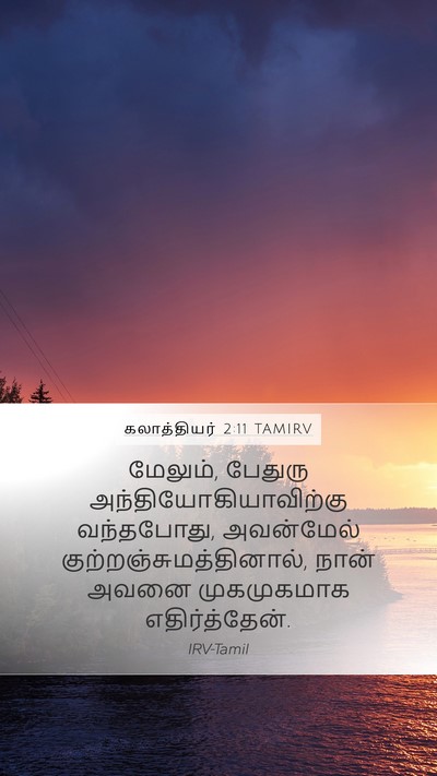 கலாத்தியர் 2:11 TAMIRV Bible Verse Image