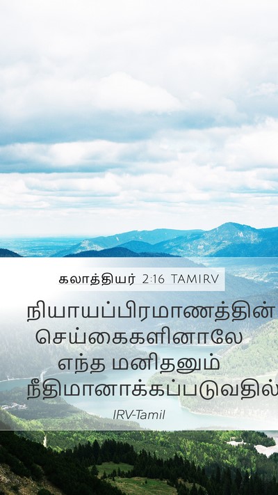 கலாத்தியர் 2:16 TAMIRV Bible Verse Image