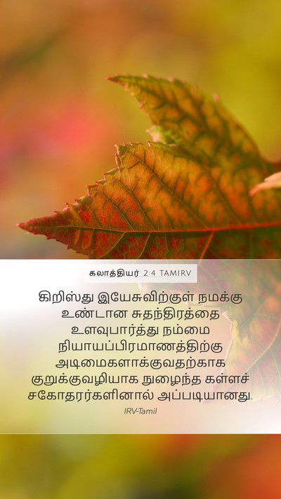 கலாத்தியர் 2:4 TAMIRV Bible Verse Image