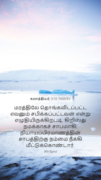 கலாத்தியர் 3:13 TAMIRV Bible Verse Image