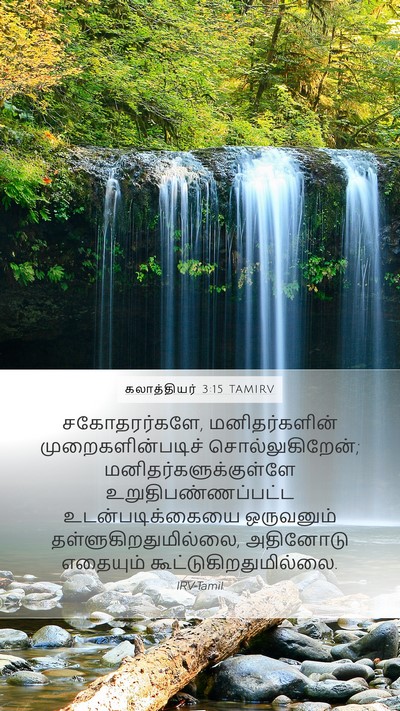 கலாத்தியர் 3:15 TAMIRV Bible Verse Image