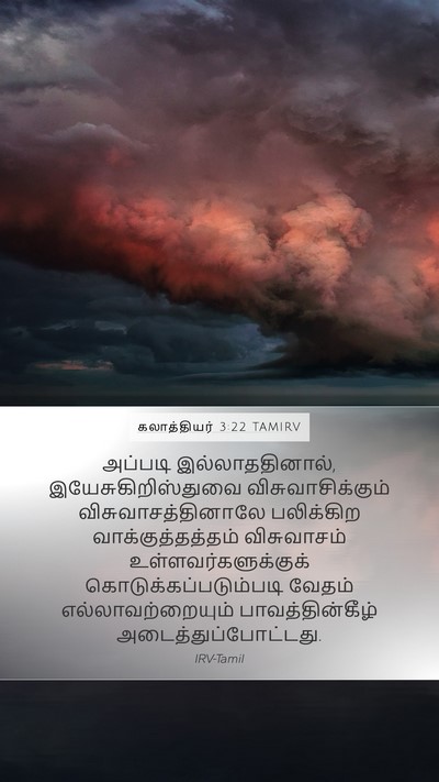 கலாத்தியர் 3:22 TAMIRV Bible Verse Image
