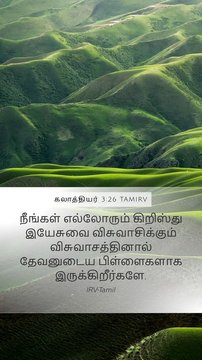 கலாத்தியர் 3:26 TAMIRV Bible Verse Image
