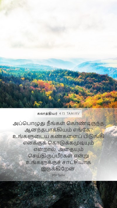 கலாத்தியர் 4:15 TAMIRV Bible Verse Image