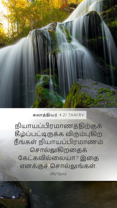 கலாத்தியர் 4:21 TAMIRV Bible Verse Image