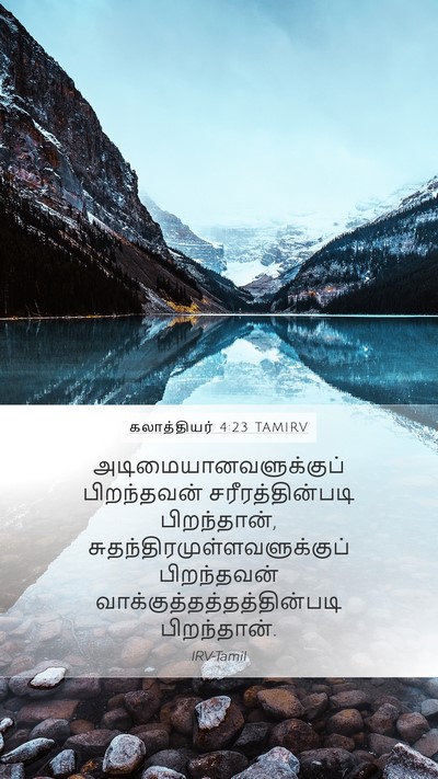 கலாத்தியர் 4:23 TAMIRV Bible Verse Image
