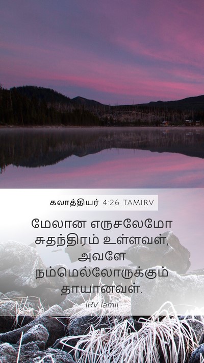 கலாத்தியர் 4:26 TAMIRV Bible Verse Image