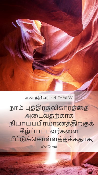 கலாத்தியர் 4:4 TAMIRV Bible Verse Image