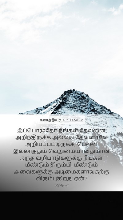 கலாத்தியர் 4:9 TAMIRV Bible Verse Image