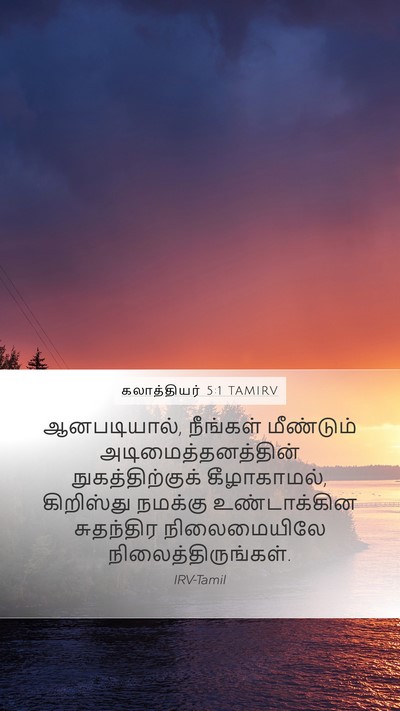 கலாத்தியர் 5:1 TAMIRV Mobile Phone Wallpaper - ஆனபடியால், - Mobile Bible Verse Wallpaper