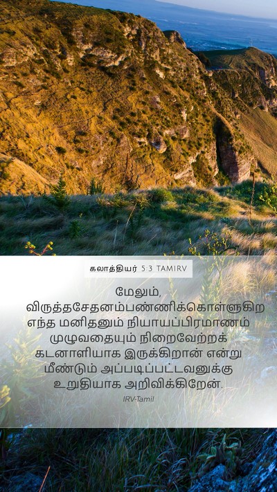 கலாத்தியர் 5:3 TAMIRV Bible Verse Image