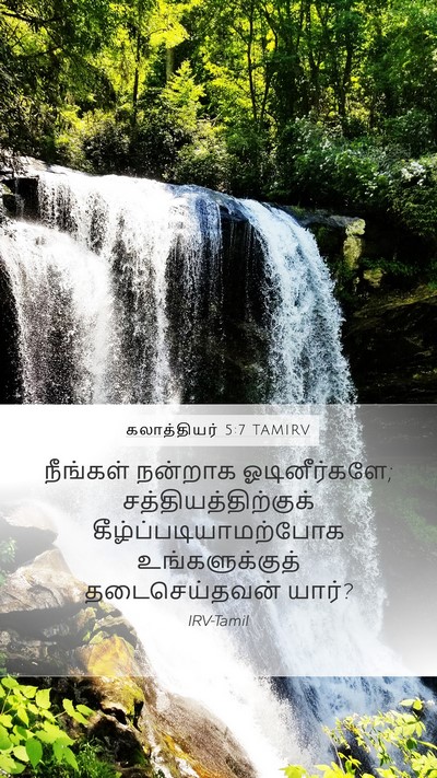 கலாத்தியர் 5:7 TAMIRV Bible Verse Image