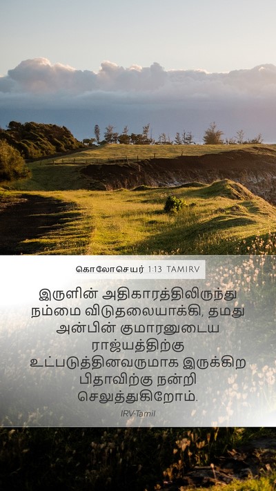 கொலோசெயர் 1:13 TAMIRV Bible Verse Image