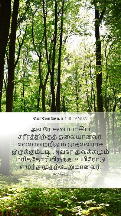 கொலோசெயர் 1:18 TAMIRV Bible Verse Image
