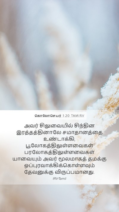 கொலோசெயர் 1:20 TAMIRV Bible Verse Image