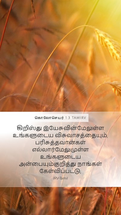 கொலோசெயர் 1:3 TAMIRV Bible Verse Image