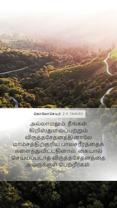 கொலோசெயர் 2:11 TAMIRV Bible Verse Image