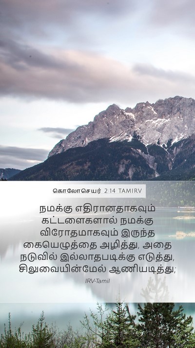 கொலோசெயர் 2:14 TAMIRV Bible Verse Image