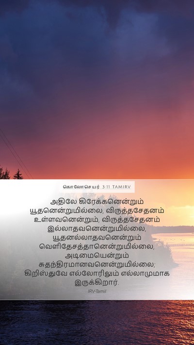 கொலோசெயர் 3:11 TAMIRV Bible Verse Image