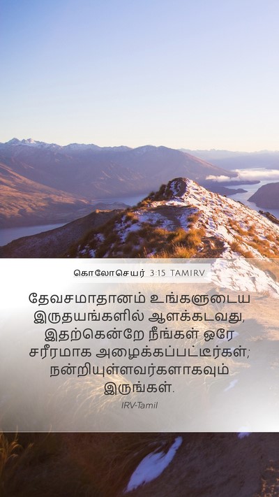 கொலோசெயர் 3:15 TAMIRV Bible Verse Image